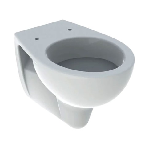 Vaso wc sospeso colibri geberit